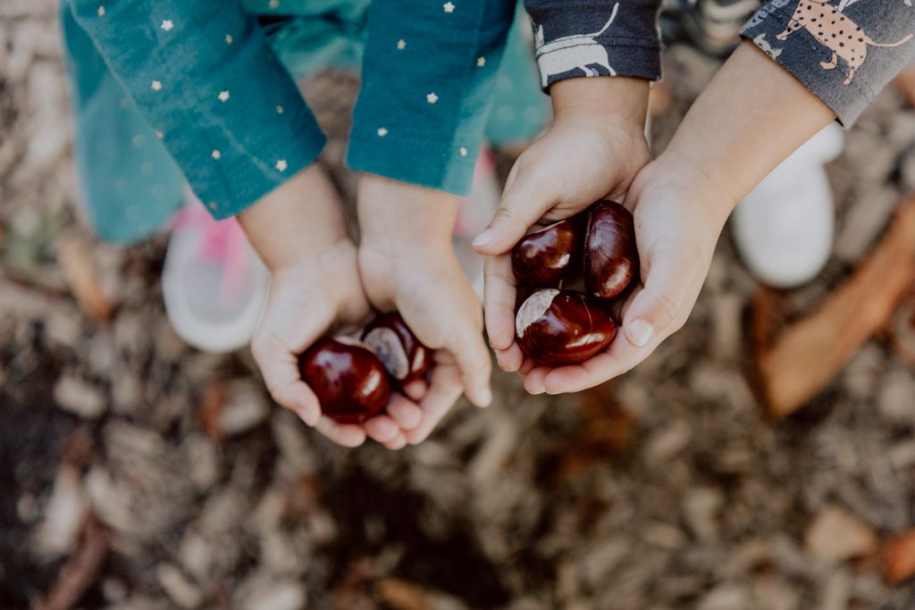 Mädchen halten Kastanien in den Händen