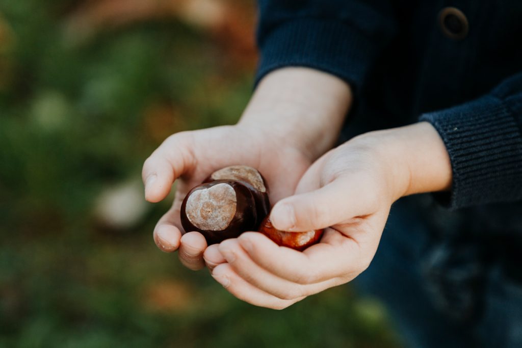 Portrait von Familie: Junge hält Kastanien in der Hand